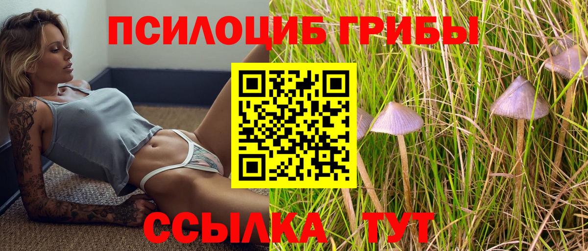 Галлюциногенные грибы Magic Shrooms Баксан